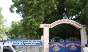 Sarah Tucker Higher Secondary School Palayamkottai